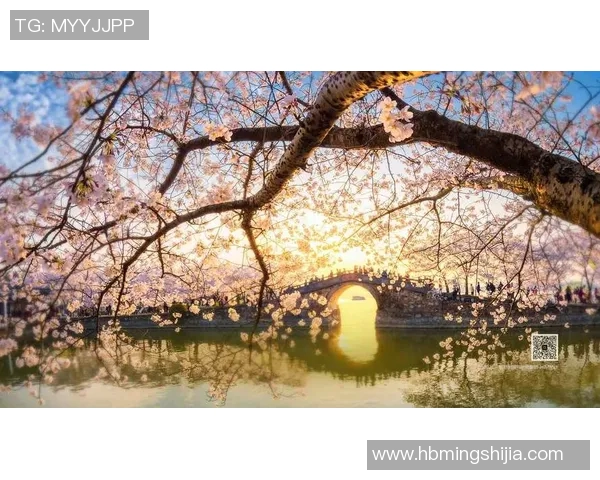 探索阿拉巴的自然风光与人文魅力,感受独特的文化之旅与美食盛宴 探索阿拉巴的自然风光与人文魅力,感受独特的文化之旅与美食盛宴