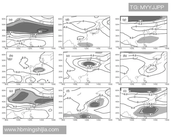 柴卡塞瓦对决分析与比赛预测探讨精彩瞬间回顾